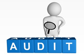 9-2-iso-9001-2015-audit